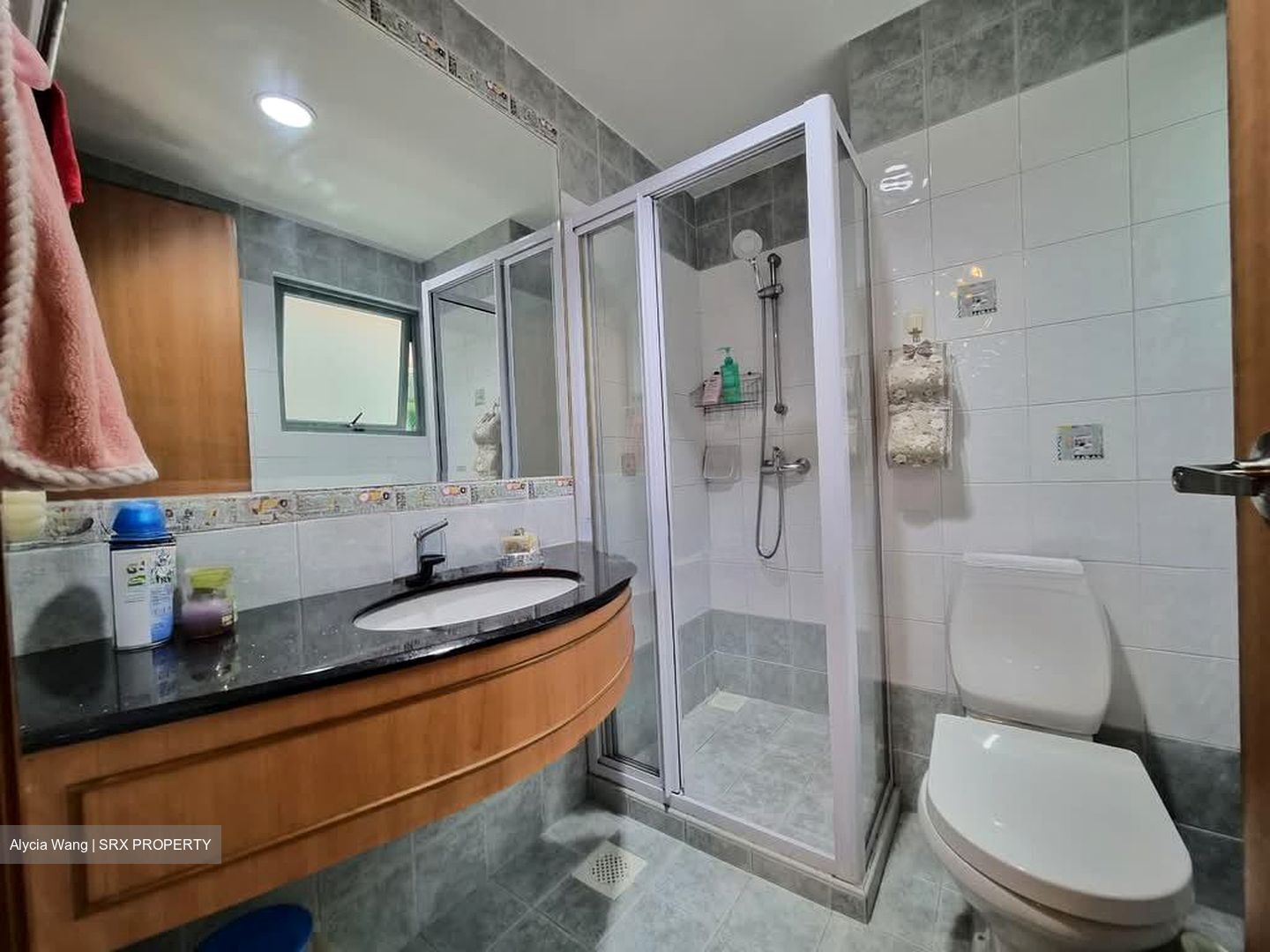 Chantilly Rise (D23), Condominium #550072251